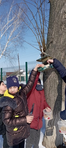 "День Орнитолога".